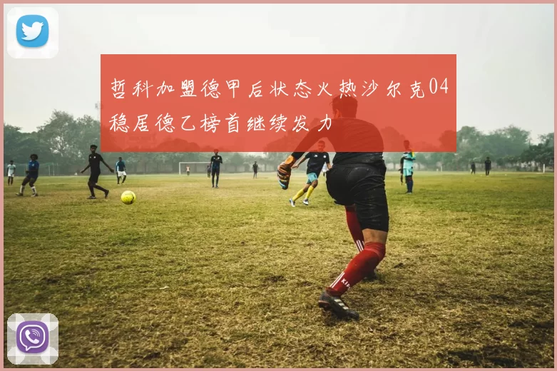哲科加盟德甲后状态火热沙尔克04稳居德乙榜首继续发力