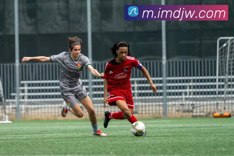 App Interface Preview