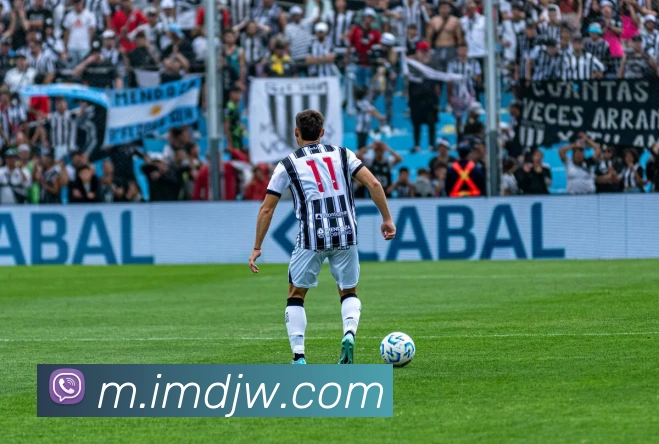 im电竞官网APP 封面图